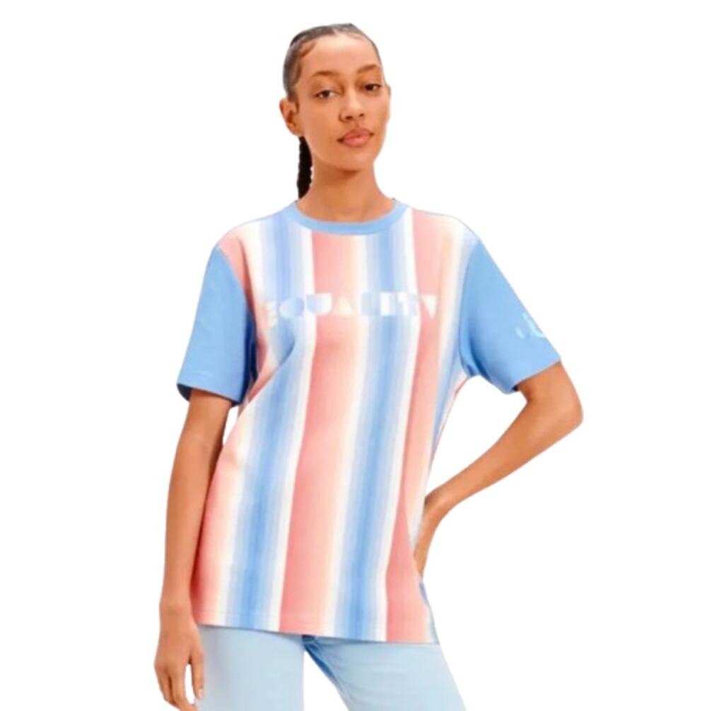 UGG UNISEX Pride Logo Equality T-shirt Medium Blue Multi Stripe NWOT